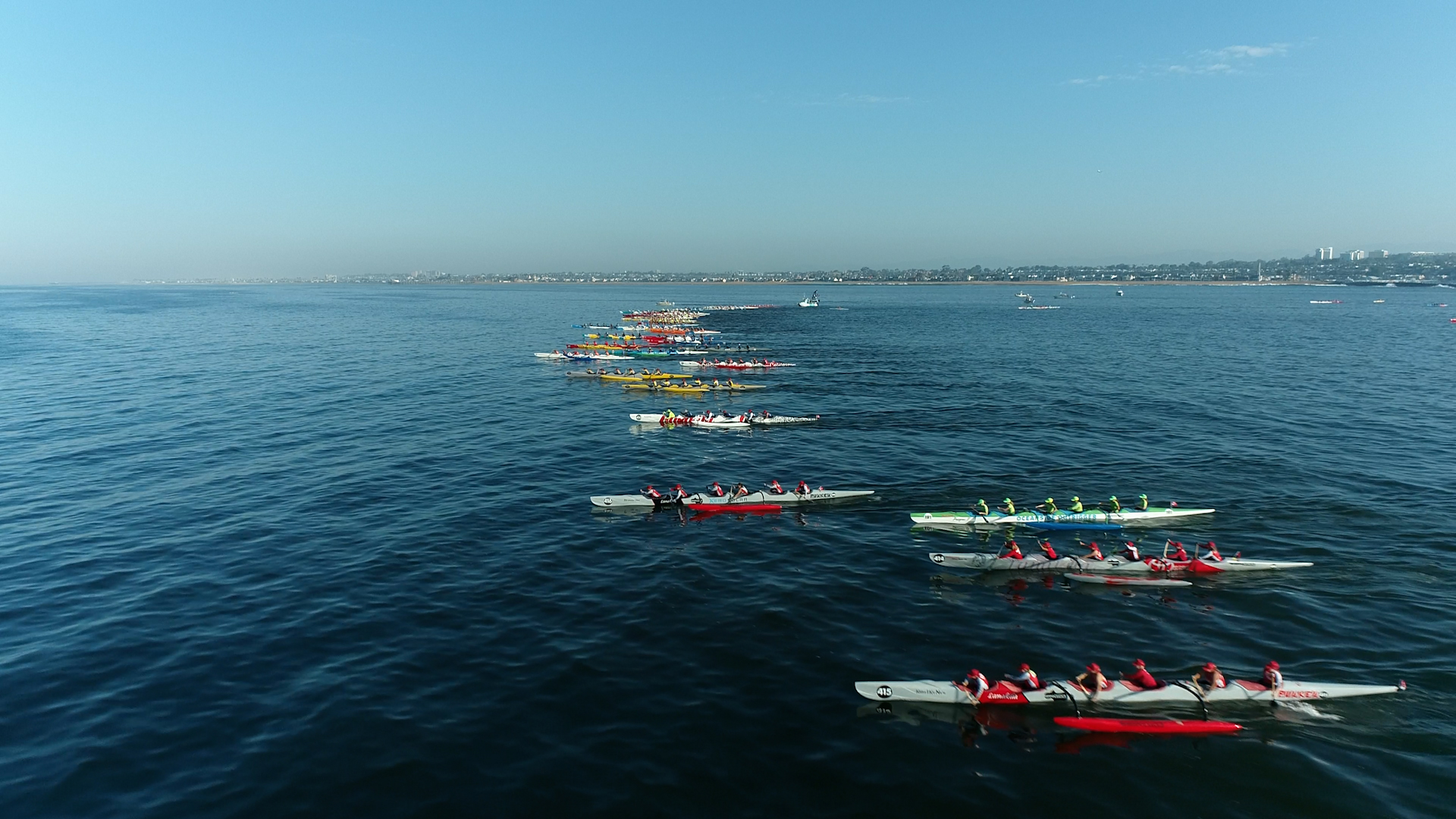 （カリー）  アークティックプログラム Acura Meyer Shank Racing Liveries Revealed – Sportscar365