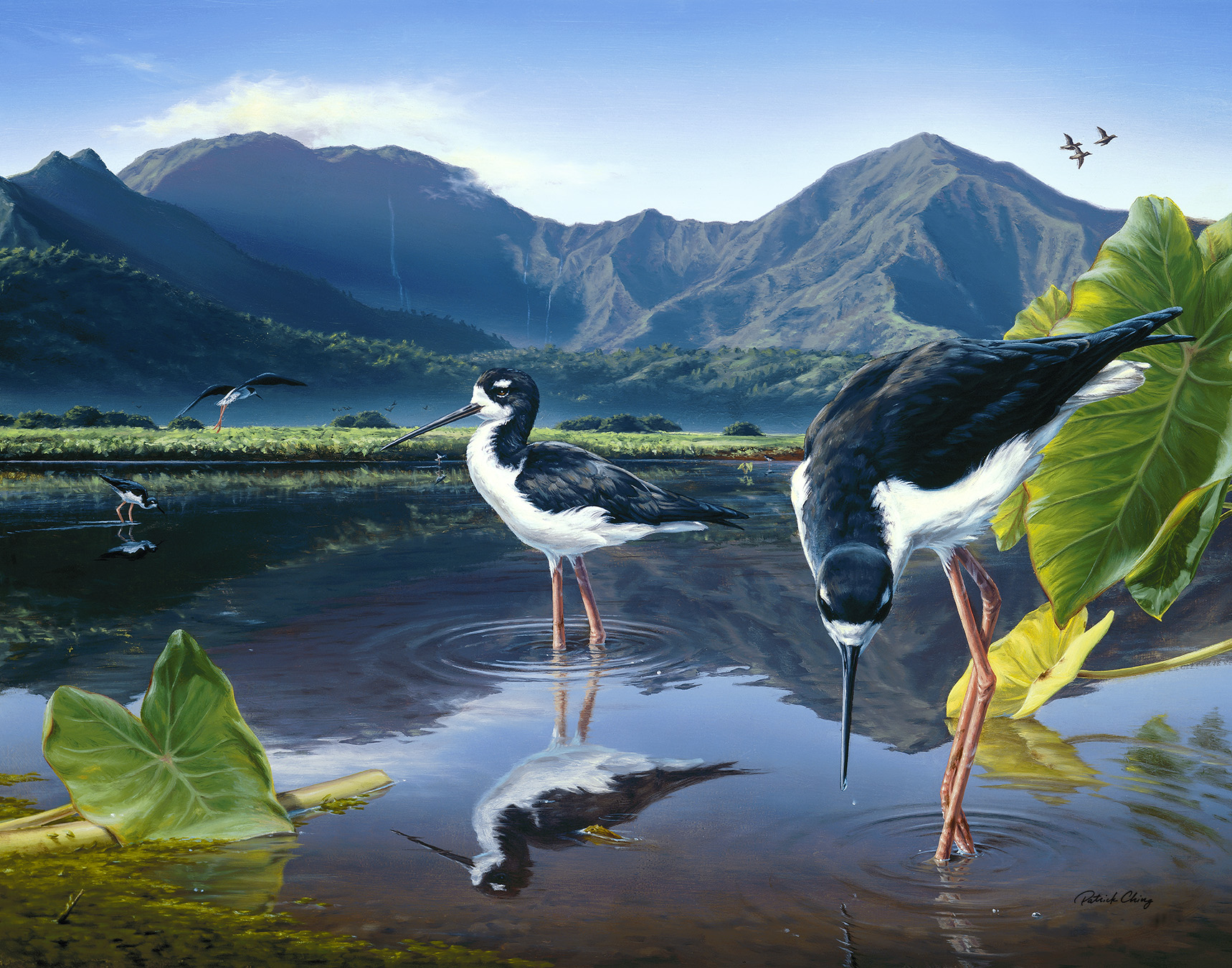 Painting In Paradise on Spectrum OC16