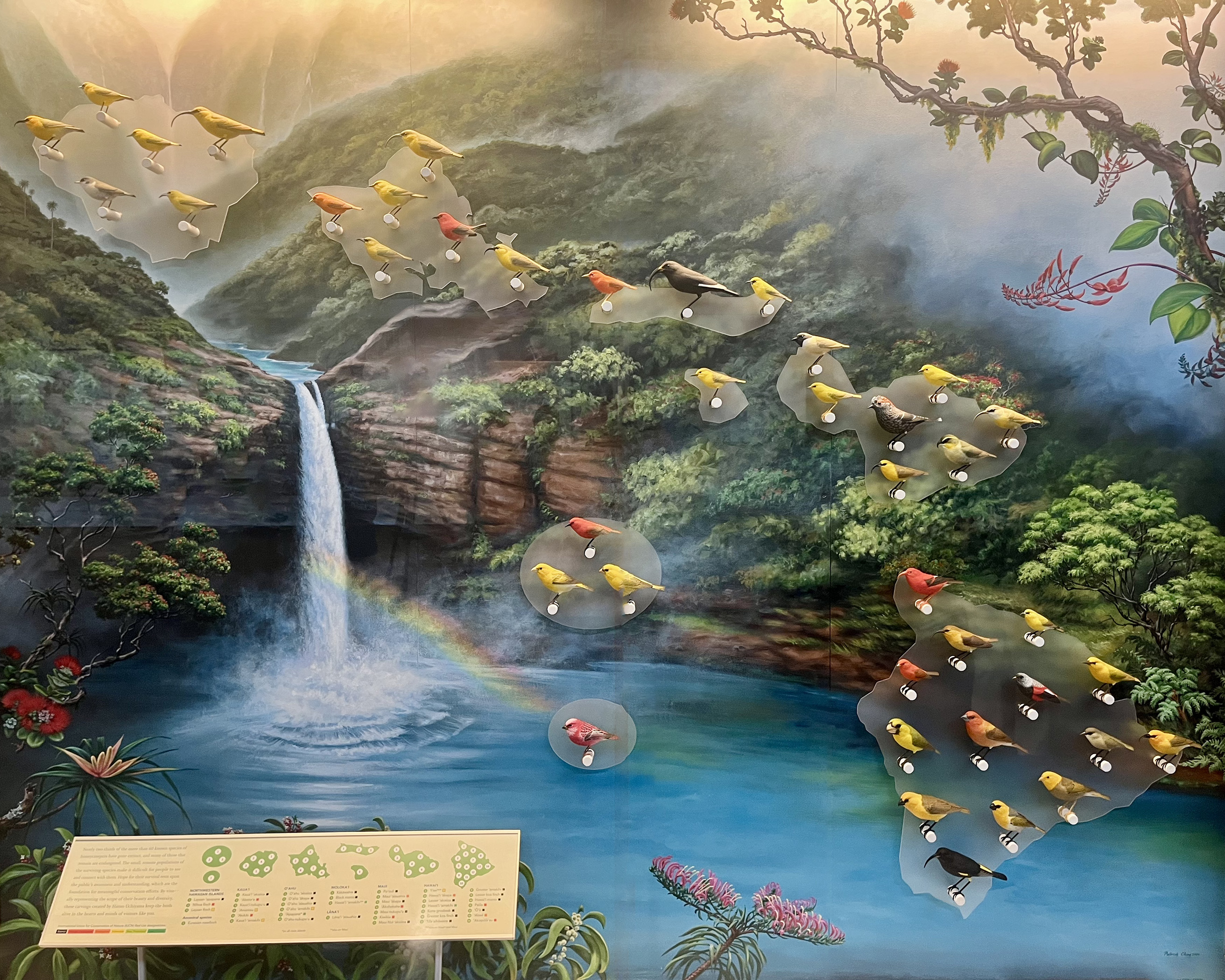 Painting In Paradise on Spectrum OC16