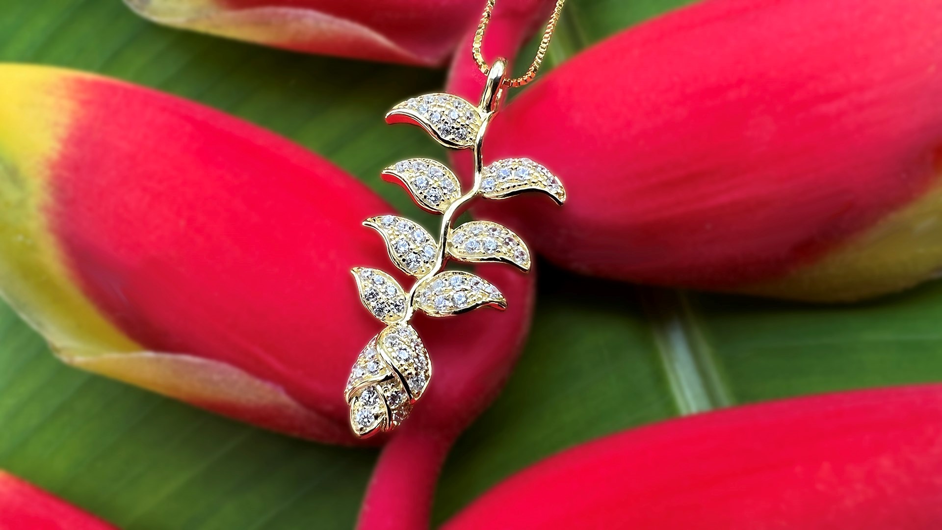 Showcase Hawaii:  Pave Heliconia 