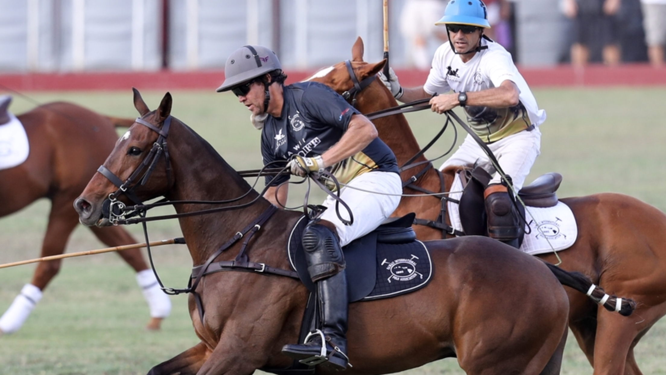 Sports People Hawaii: Hawaii Pro Polo