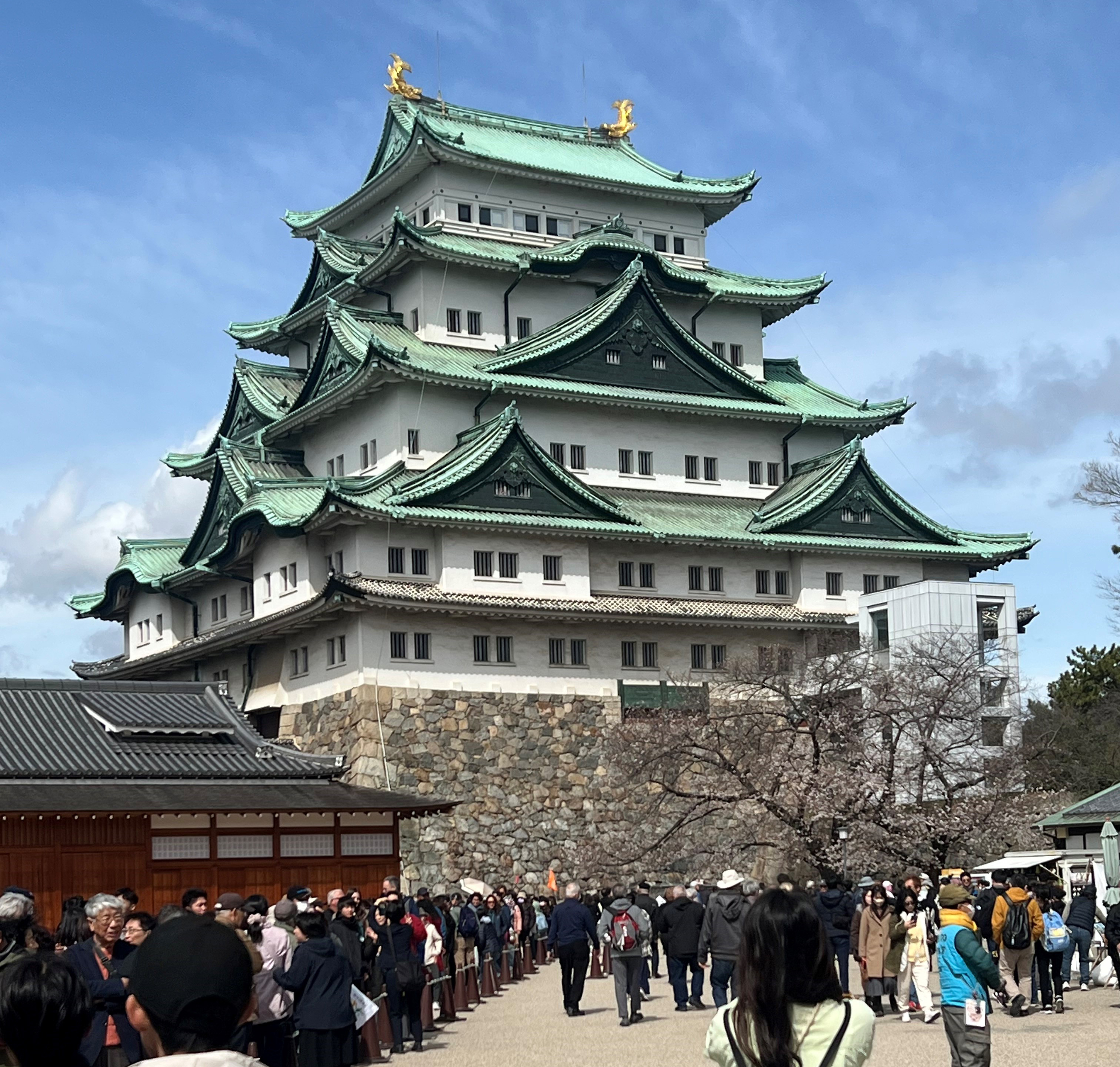 （カリー）  アークティックプログラム Arc'Teryx Ortholite 'Arakys' Approach Trekking Hiking Climbing